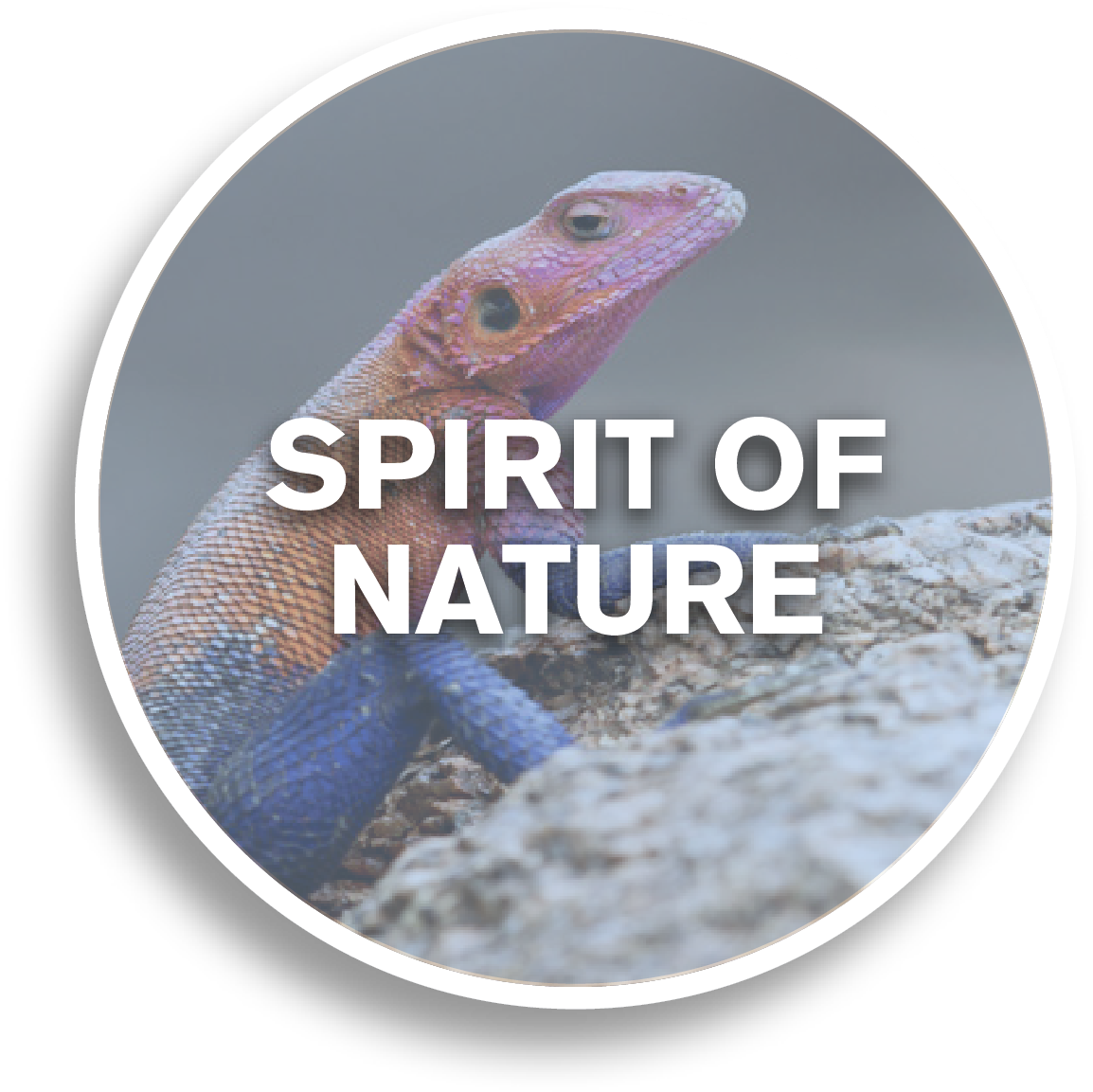 Spirit of Nature Button