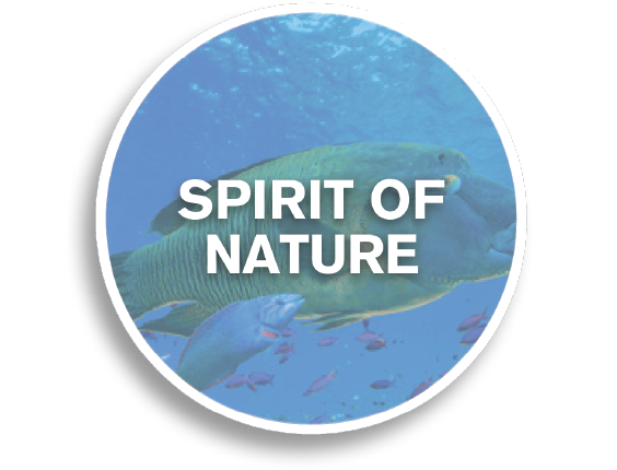 Spirit of Nature Button