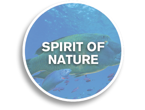 Spirit of Nature Button